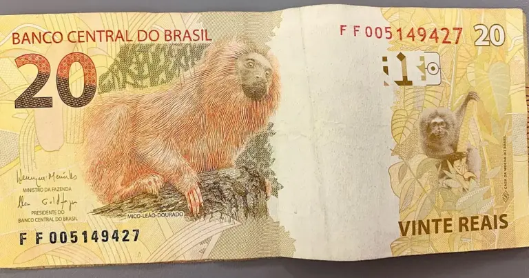 Como fazer o dinheiro render mais começando com pequenas quantias