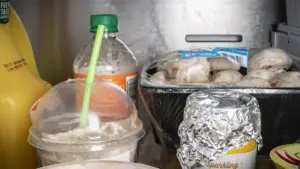 5 erros ao guardar comida que aumentam o desperdício